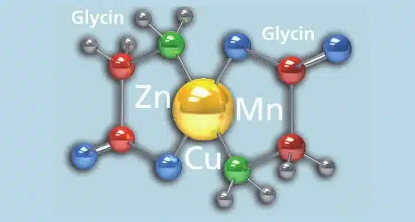 Glycinchelate Glisin şelatları kimyasal formülü