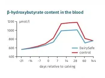 Kandaki BHB β Hidroksibütirik asit içeriği azaltılabilir