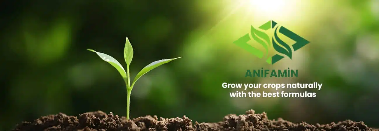 image for the promotional page of anifamin animal origin liquid organic fertilizer product in this image there is soil and saplings planted in the soil the background is blurred and on the right side of the image there is the logo and slogan of the anifamin brand